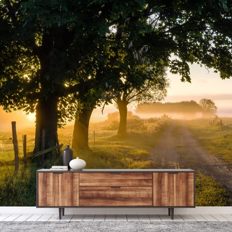 Carta da parati alba dorata sul sentiero di campagna