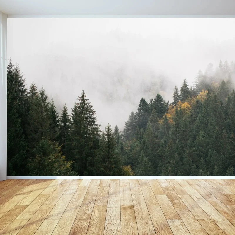 Carta da parati nebbia tra gli abeti