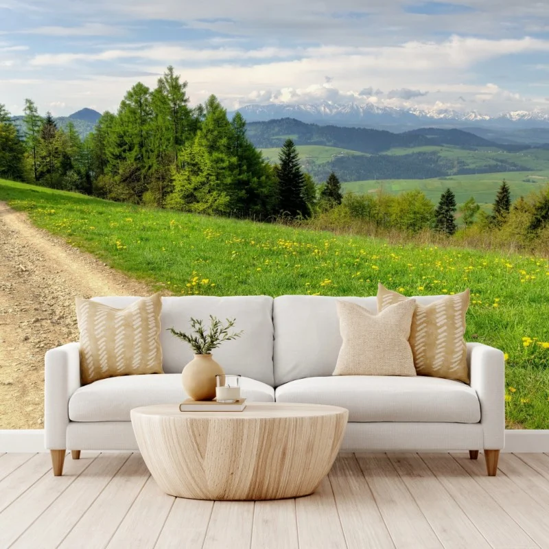 Carta da parati sentiero primaverile nei Monti Gorce