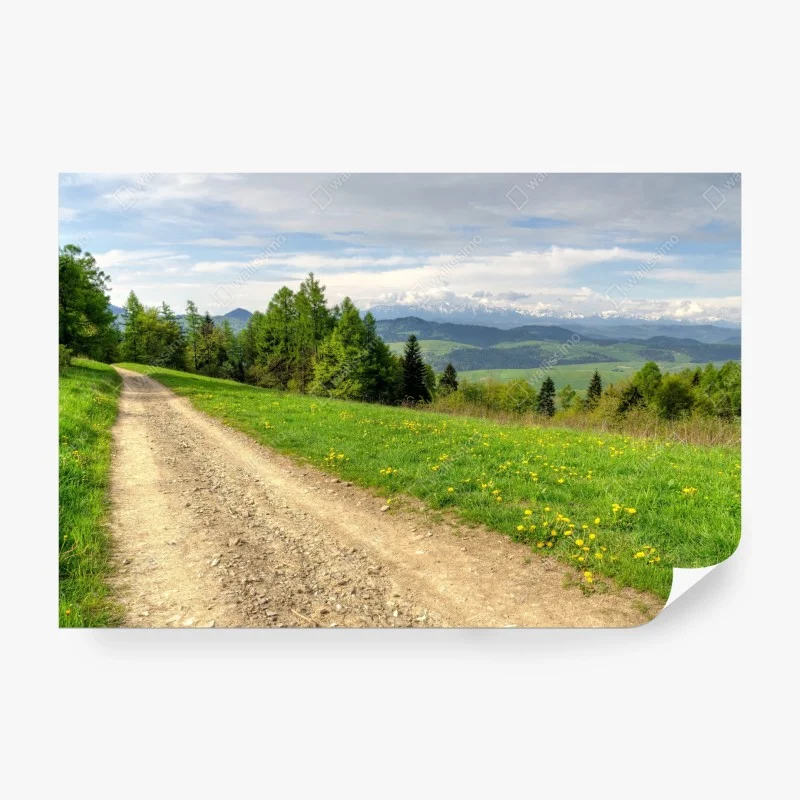 Carta da parati sentiero primaverile nei Monti Gorce