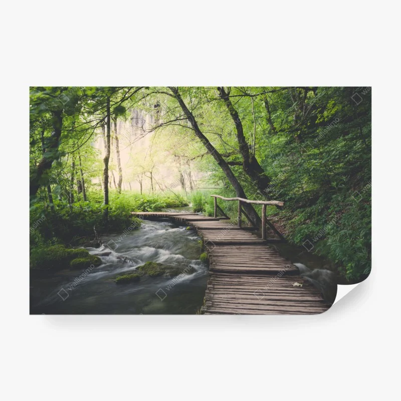 Carta da parati sentiero di legno sulle acque del bosco