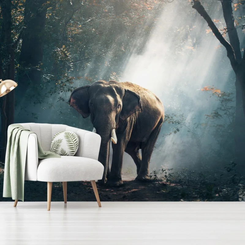 Carta da parati elefante maestoso nella foresta illuminata