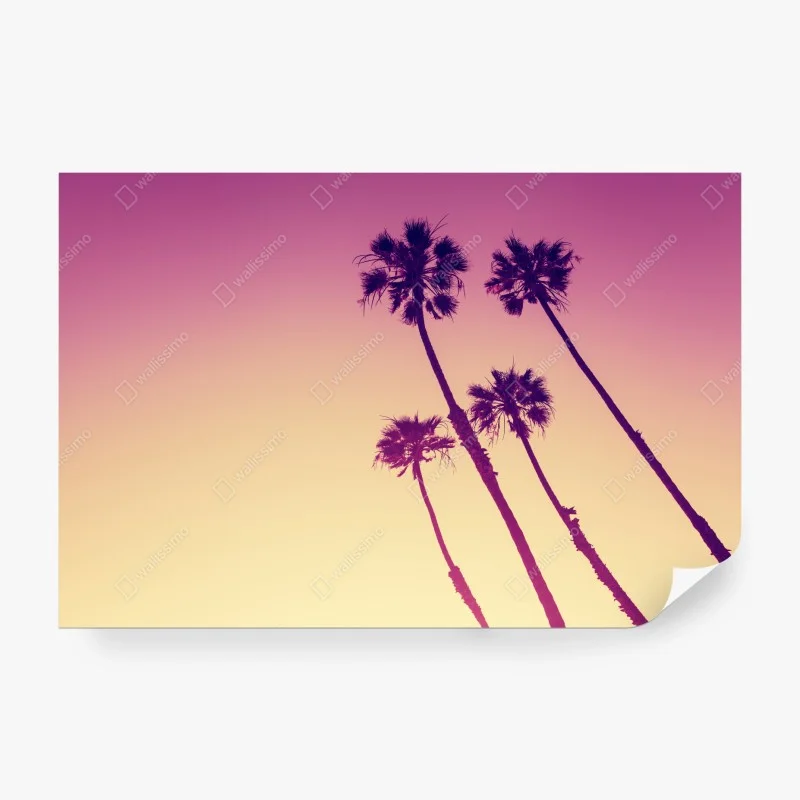 Carta da parati tramonto californiano con palme di San Diego