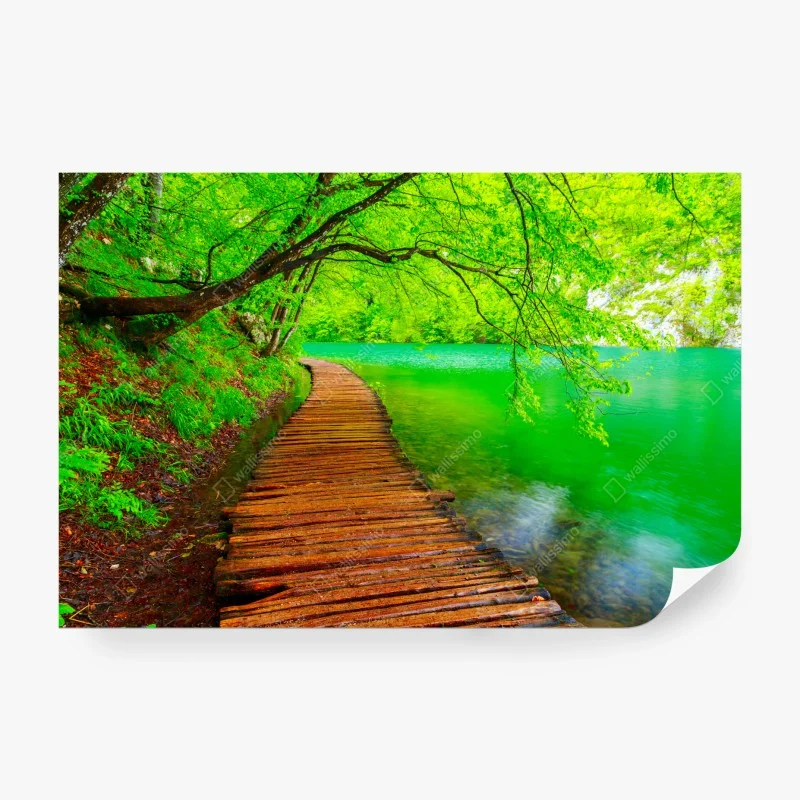 Carta da parati percorso in legno lungo il lago verde