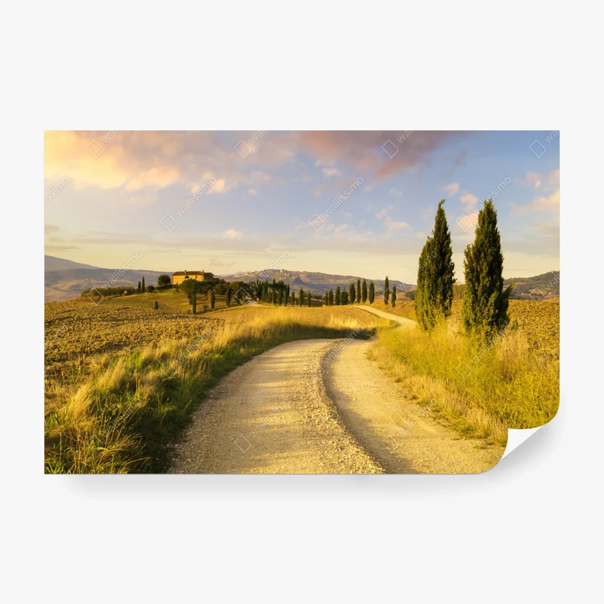 Carta da parati strada di campagna in Toscana al tramonto • Wallissimo®
