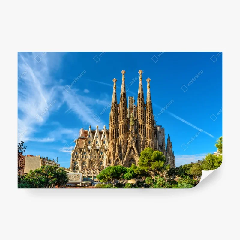 Carta da parati • Wallissimo®