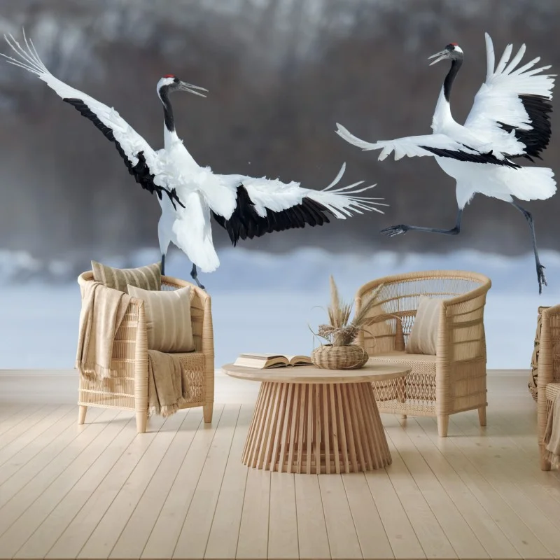 Carta da parati danza delle gru di Hokkaido nella neve