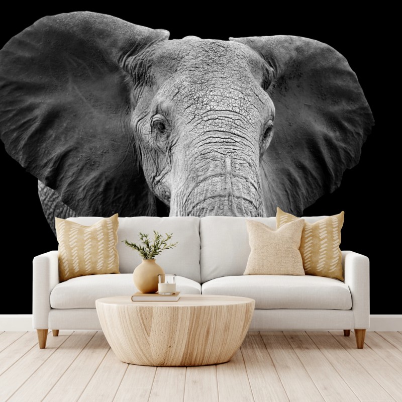 Carta da parati maestoso elefante su sfondo nero