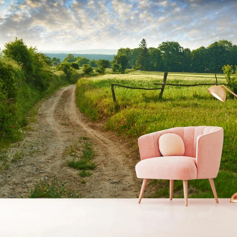 Carta da parati sentiero di campagna nella luce dorata