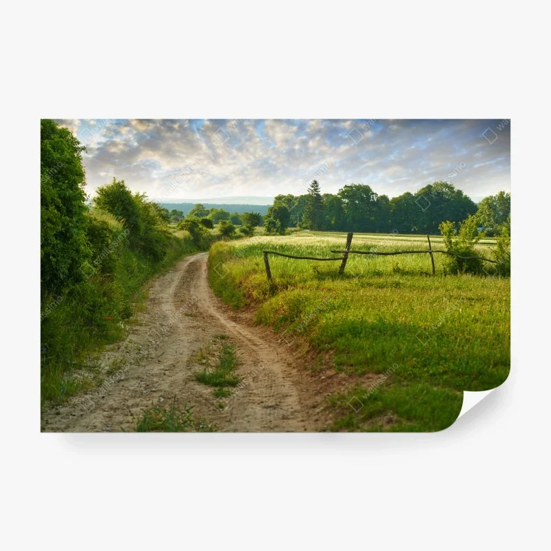 Carta da parati sentiero di campagna nella luce dorata