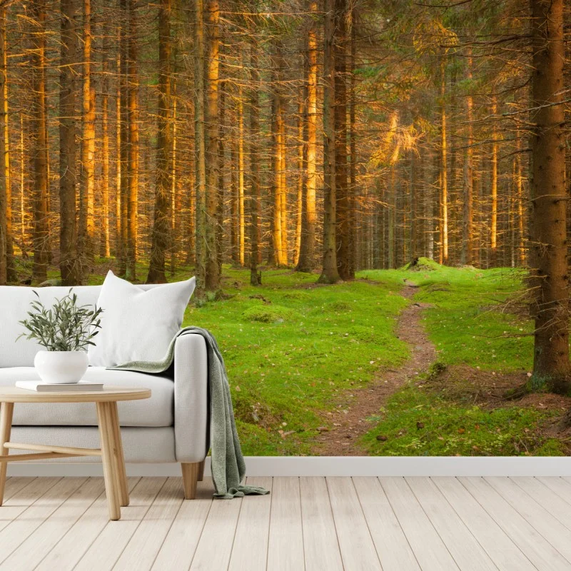 Carta da parati sentiero nella foresta dorata