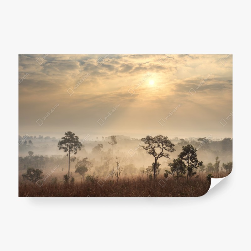 Carta da parati alba nella savana della Thailandia