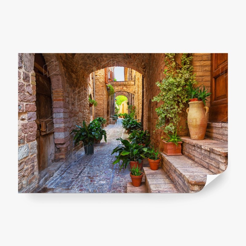 Carta da parati angolo fiorito a Spello, Umbria