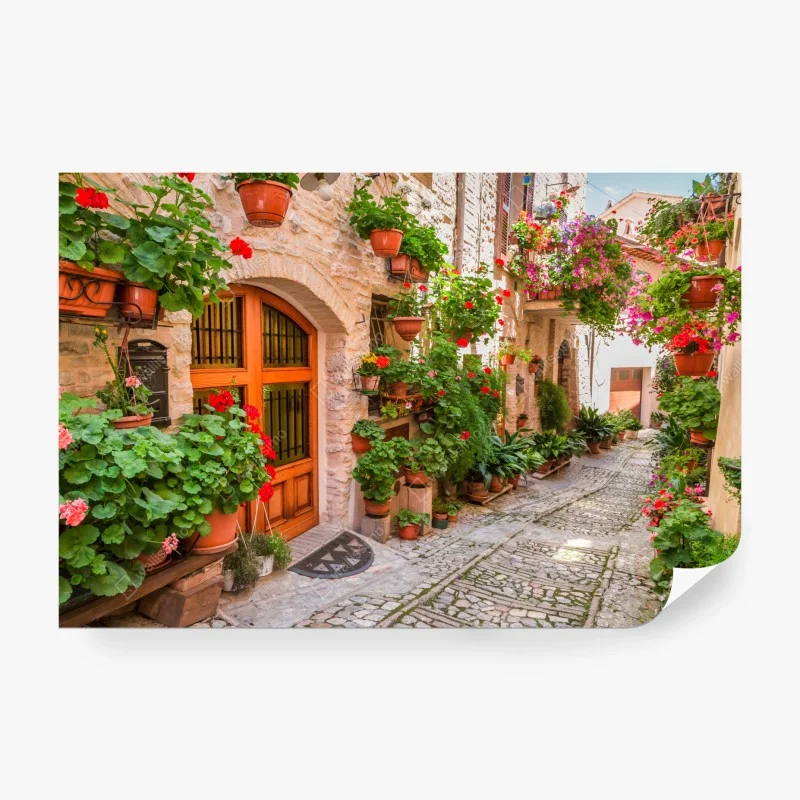 Carta da parati vicolo fiorito in Umbria