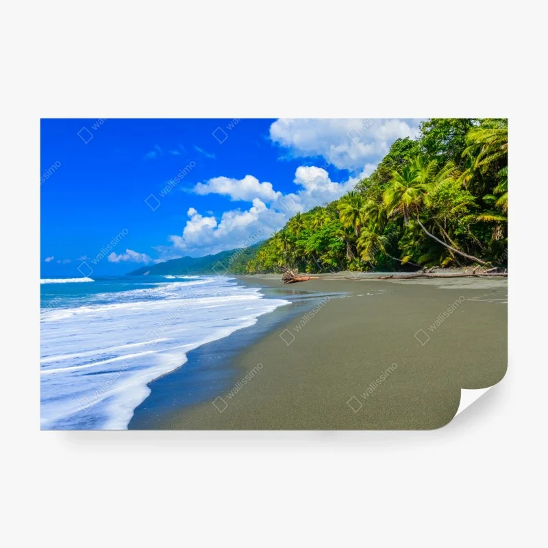 Carta da parati • Wallissimo®