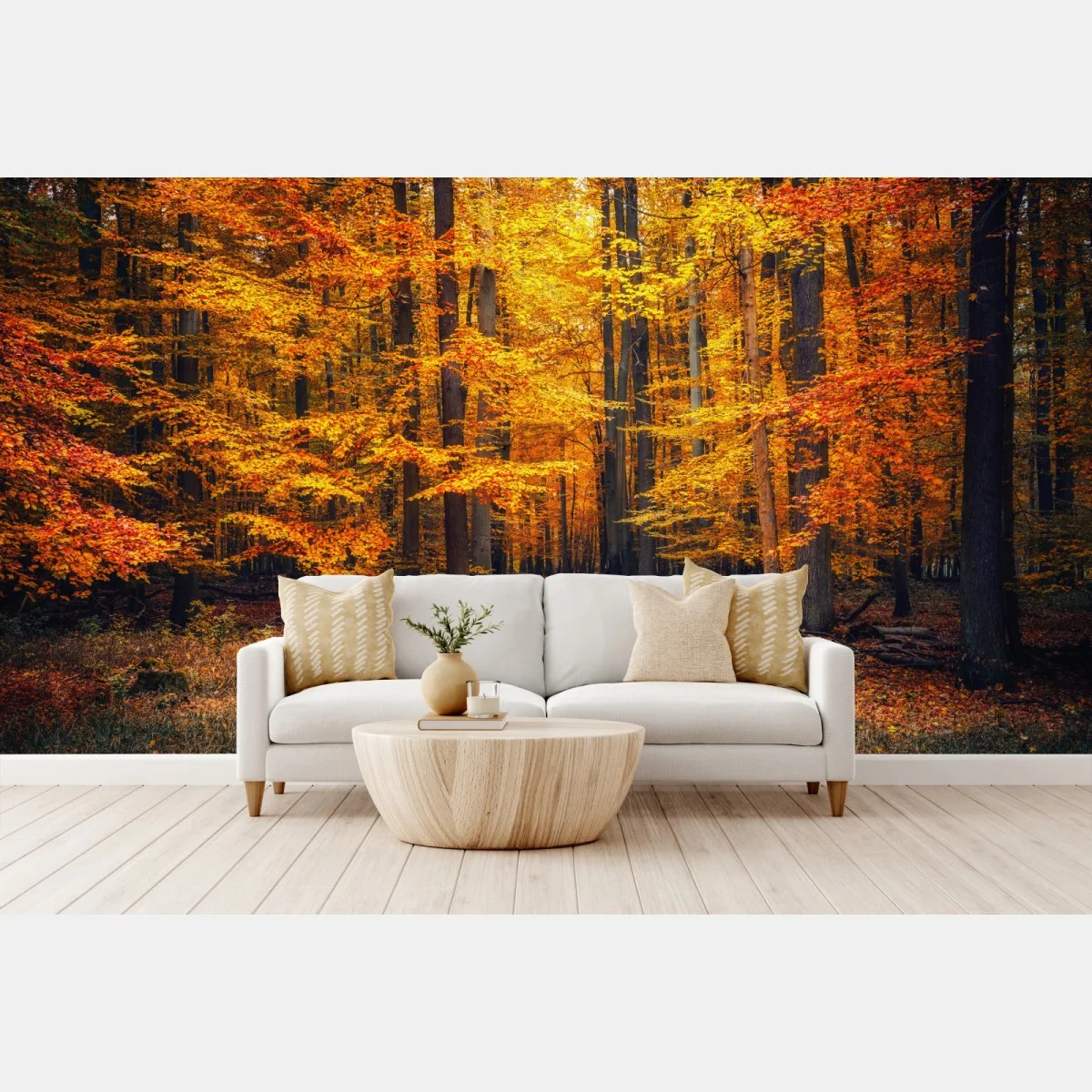 Carta da parati sentiero nel bosco autunnale dorato • Wallissimo® Carta da parati sentiero nel bosco autunnale dorato • Wallissimo®