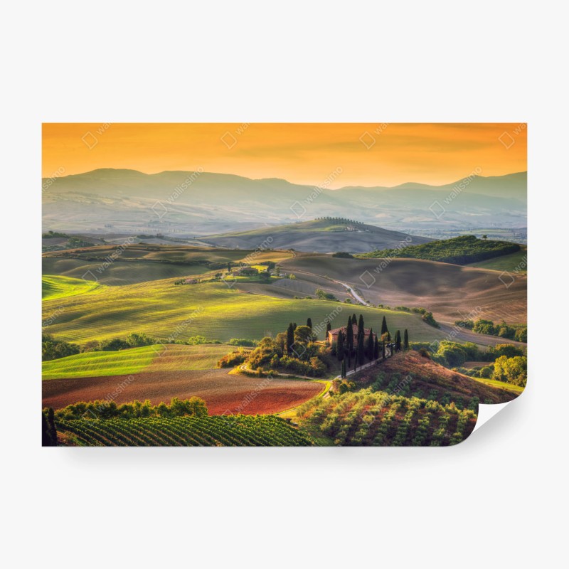 Carta da parati colline dorate al tramonto