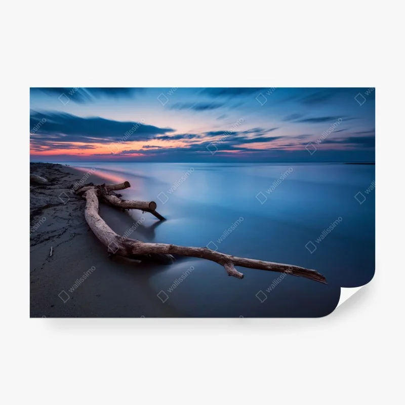 Carta da parati tramonto sereno sulla spiaggia con tronco levigato