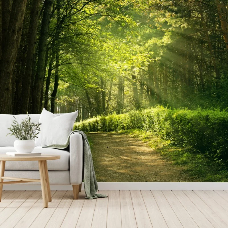 Carta da parati sentiero illuminato nella foresta estiva