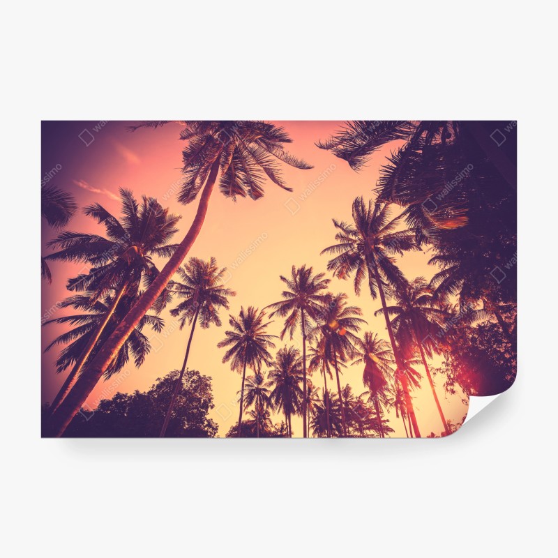 Carta da parati tramonto tropicale tra le palme