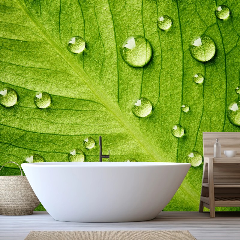 Carta da parati foglia verde con gocce d'acqua
