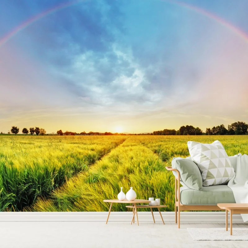 Carta da parati campo di grano sotto un arcobaleno al tramonto • Wallissimo® Carta da parati campo di grano sotto un arcobaleno al tramonto • Wallissimo®