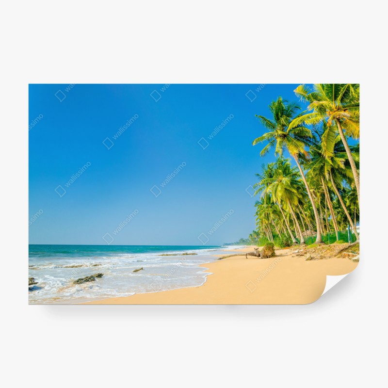 Carta da parati paradiso di palme e mare