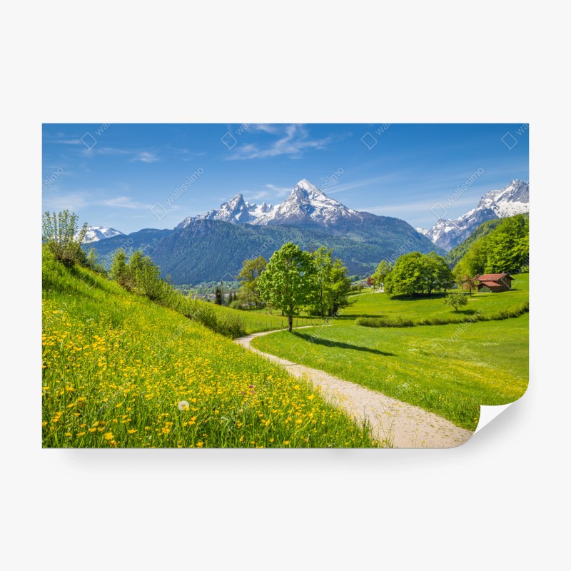Carta da parati paesaggio alpino con sentiero fiorito