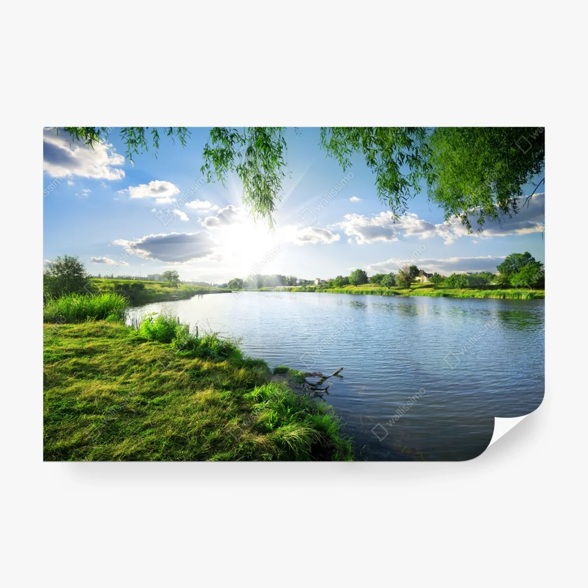 Carta da parati giorno soleggiato sul fiume • Wallissimo®