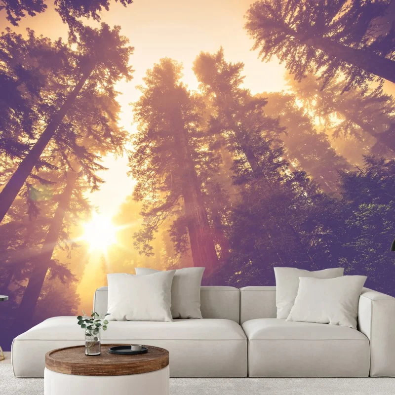 Carta da parati foresta incantata al chiarore dorato