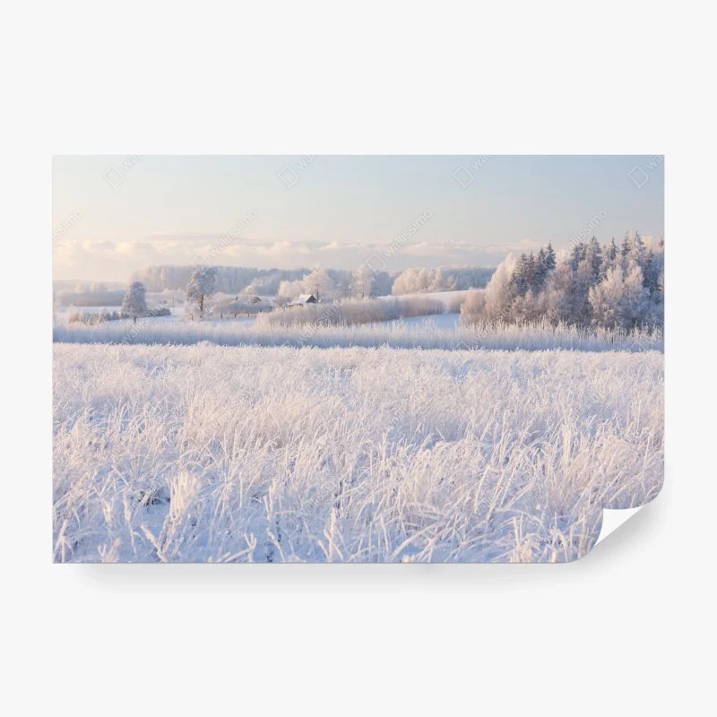 Carta da parati alba invernale sulla campagna ghiacciata