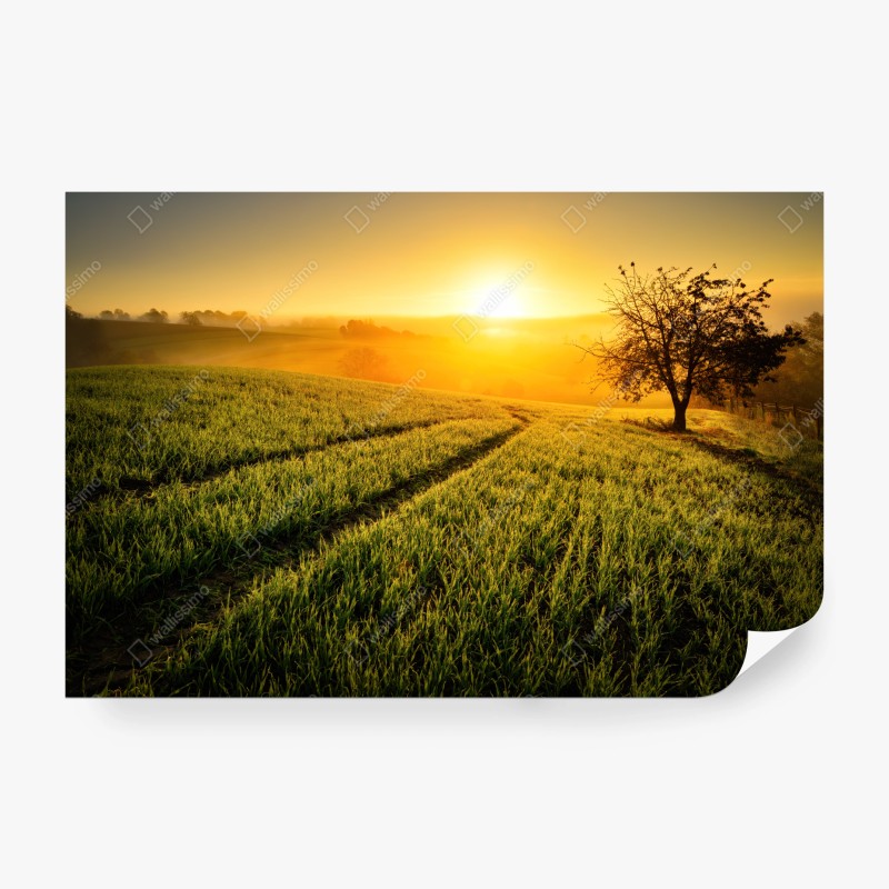 Carta da parati alba dorata sulle colline