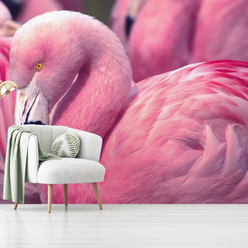 Carta da parati fenicottero rosa in primo piano