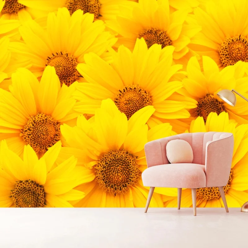 Carta da parati esplosione di girasoli luminosi