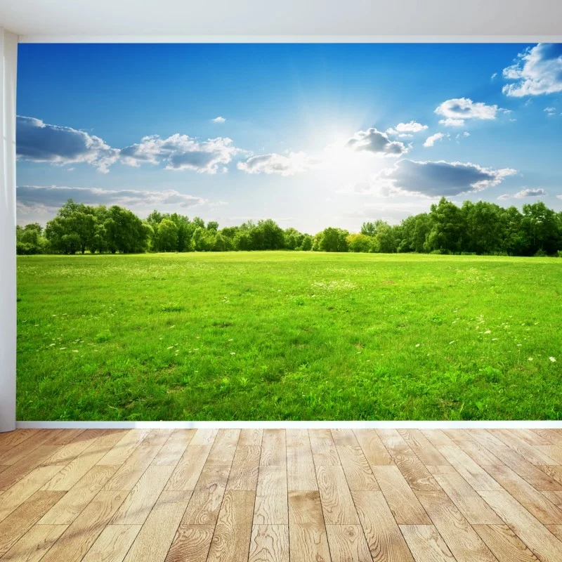 Carta da parati prato verde sotto cielo azzurro • Wallissimo® Carta da parati prato verde sotto cielo azzurro • Wallissimo®