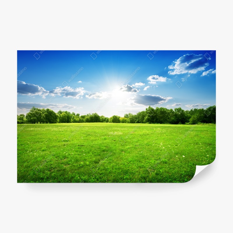 Carta da parati prato verde sotto cielo azzurro