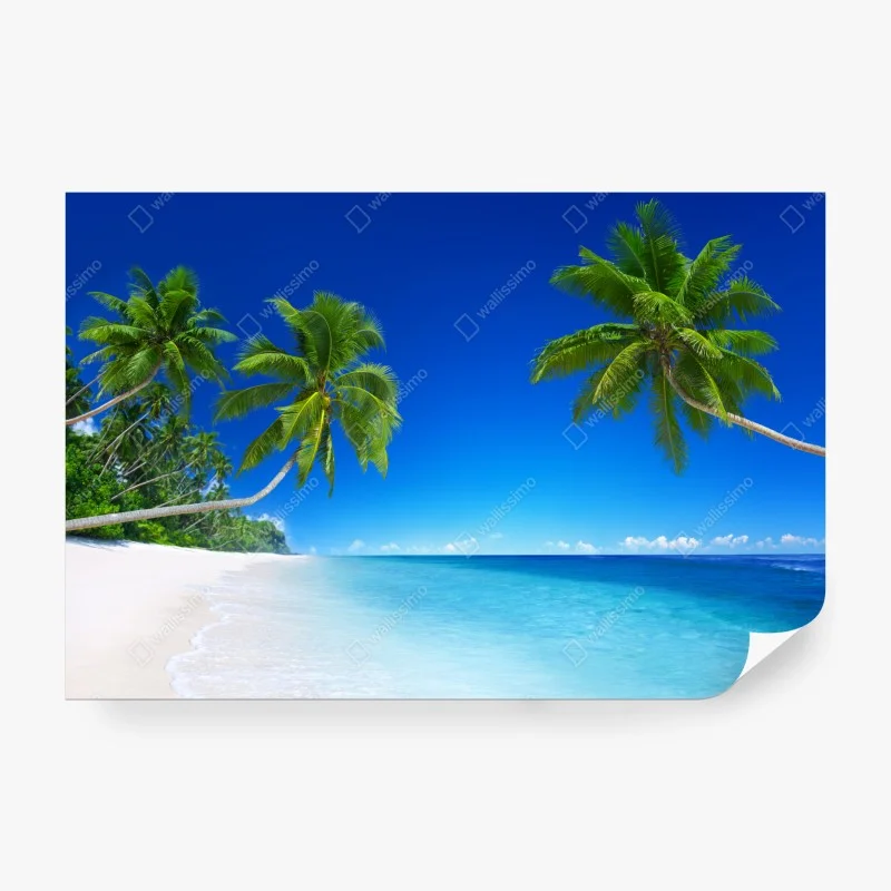 Carta da parati paradiso tropicale con palme e mare turchese