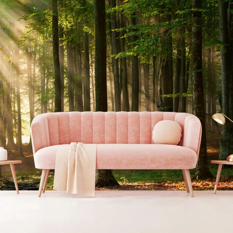 Carta da parati foresta al mattino con raggi di luce