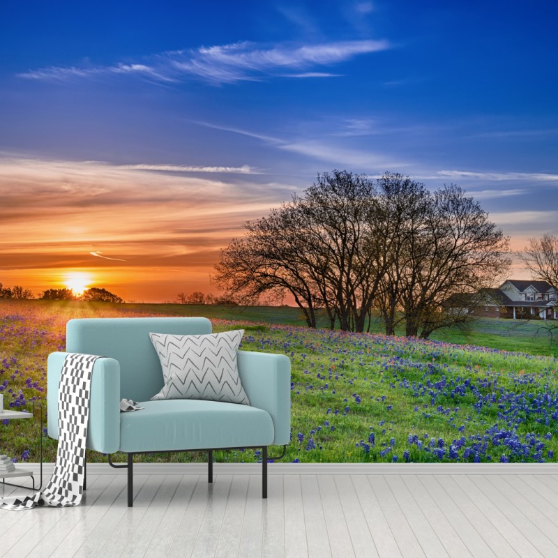 Carta da parati alba in Texas tra i bluebonnet