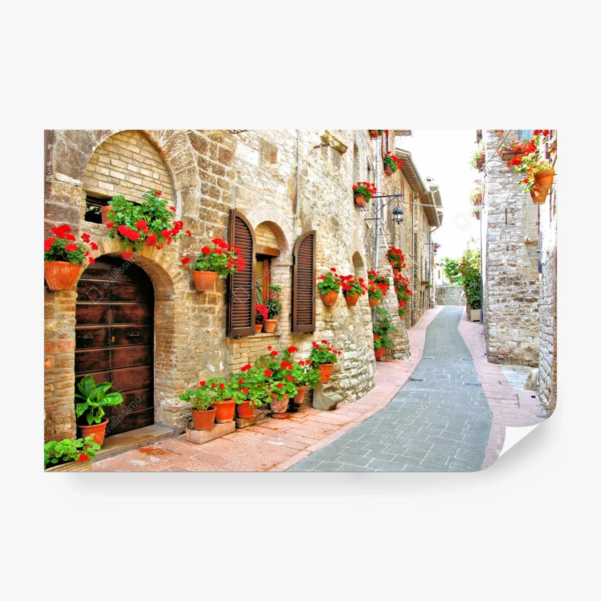 Carta da parati vialetto fiorito nel borgo • Wallissimo® Carta da parati vialetto fiorito nel borgo • Wallissimo®