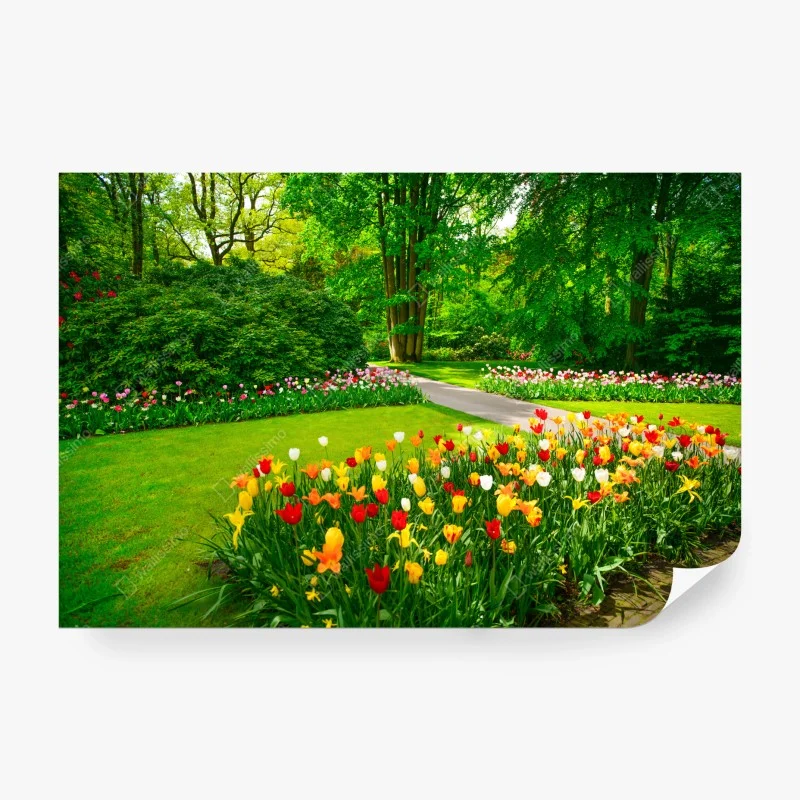 Carta da parati paesaggio di tulipani a Keukenhof