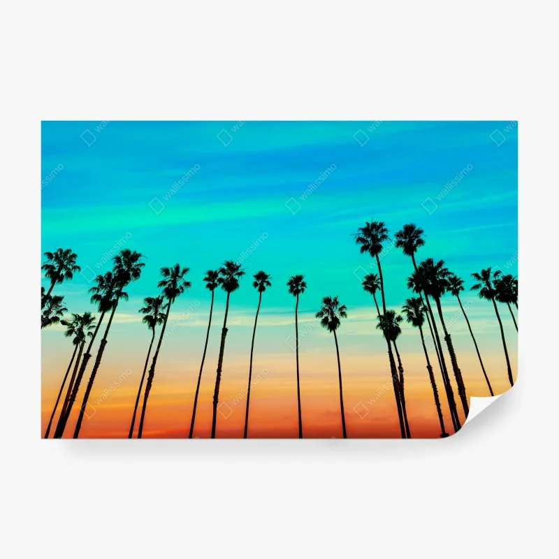 Carta da parati tramonto a Santa Barbara con filari di palme