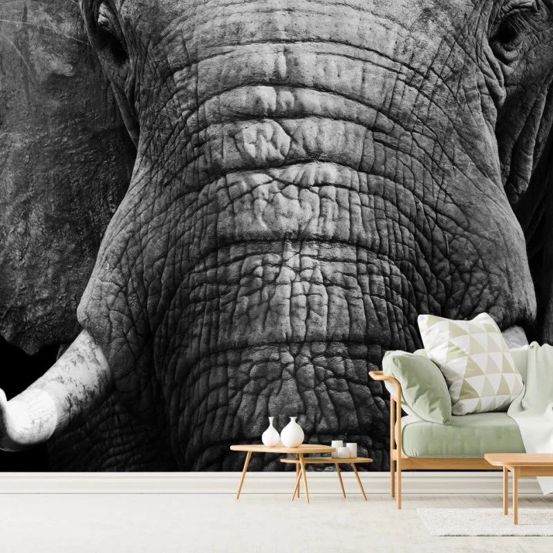 Carta da parati sguardo maestoso dell'elefante in primo piano
