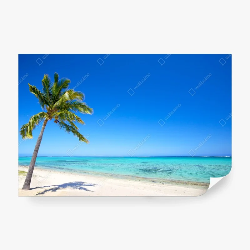 Carta da parati oasi tropicale palma e mare turchese