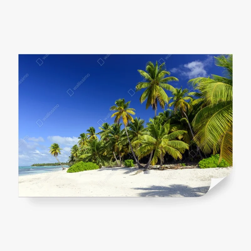 Carta da parati spiaggia tropicale a Punta Cana