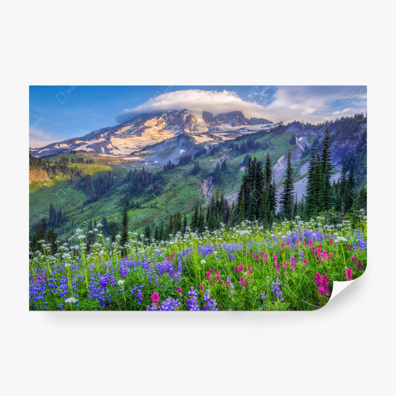 Carta da parati prato alpino fiorito con vista sulla montagna