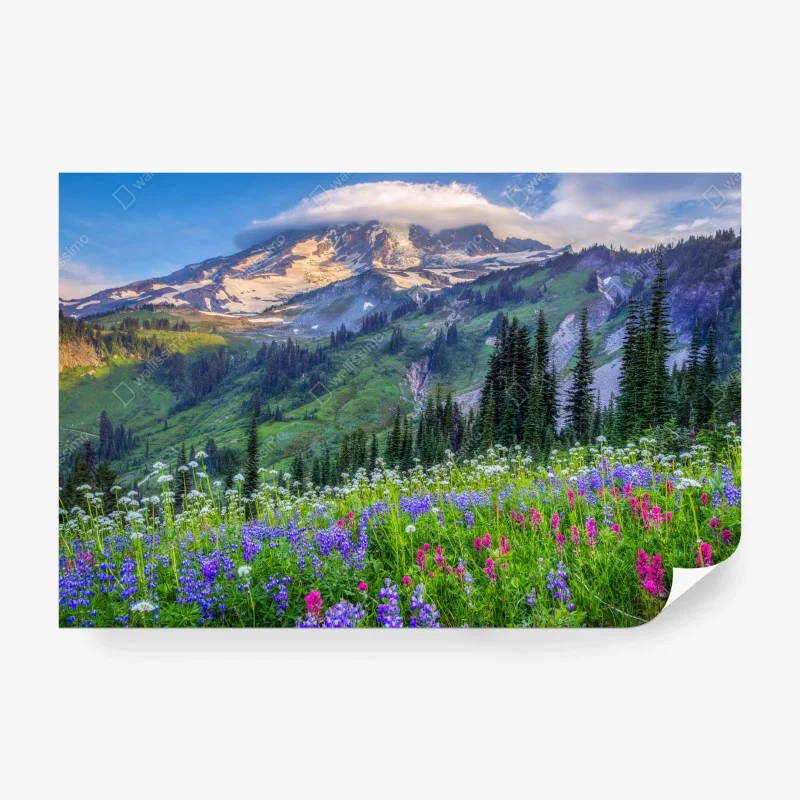Carta da parati prato alpino fiorito con vista sulla montagna