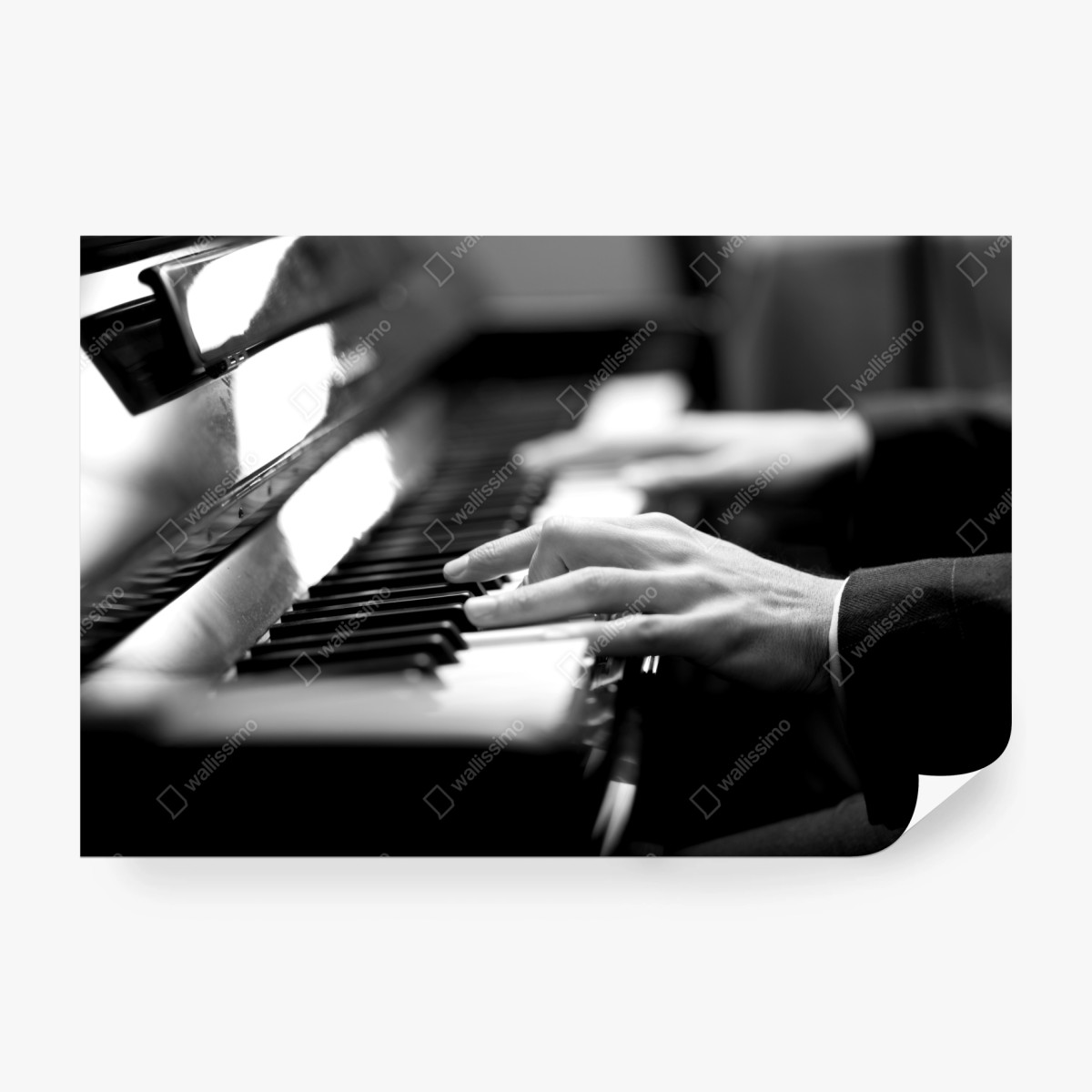 Carta da parati eleganza al pianoforte in bianco e nero • Wallissimo®