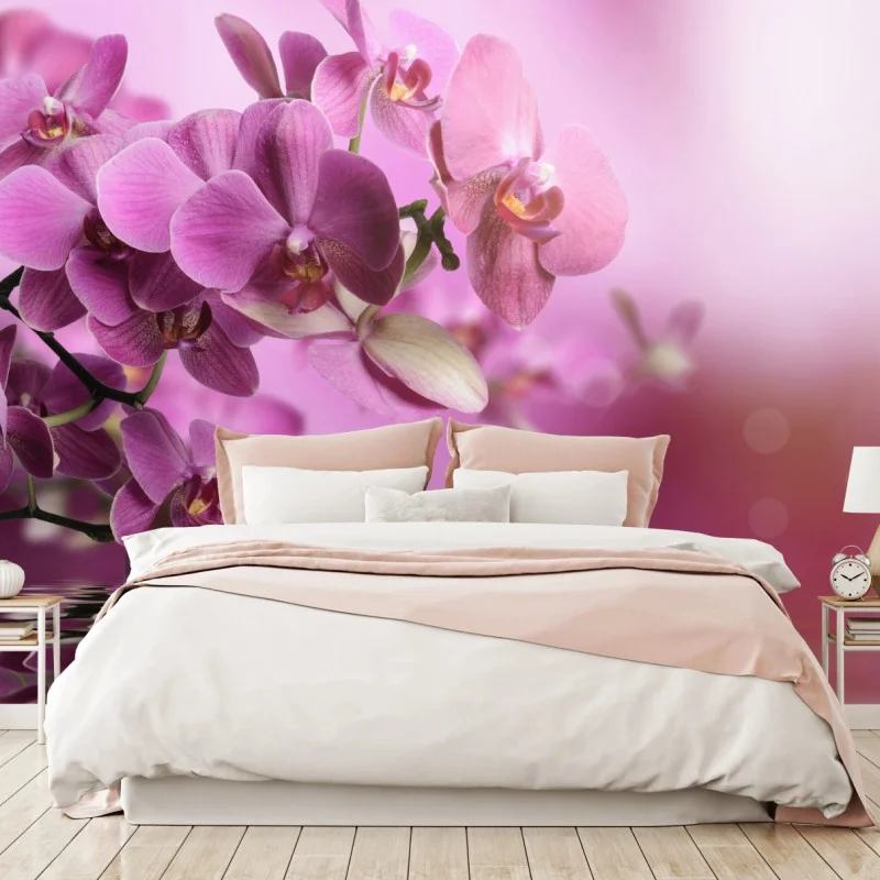 Carta da parati orchidee rosa con riflesso sull'acqua
