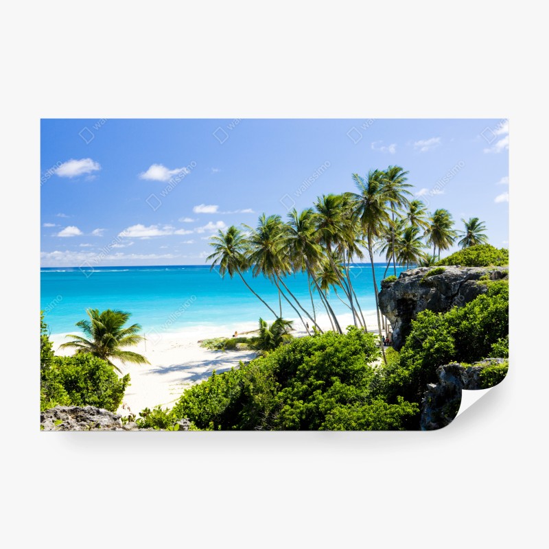 Carta da parati oasi tropicale a Bottom Bay, Barbados